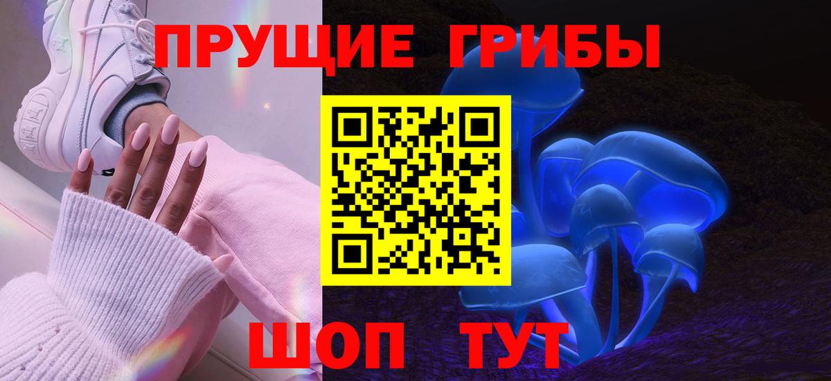 Галлюциногенные грибы Cubensis  Вход с VPN  Димитровград 