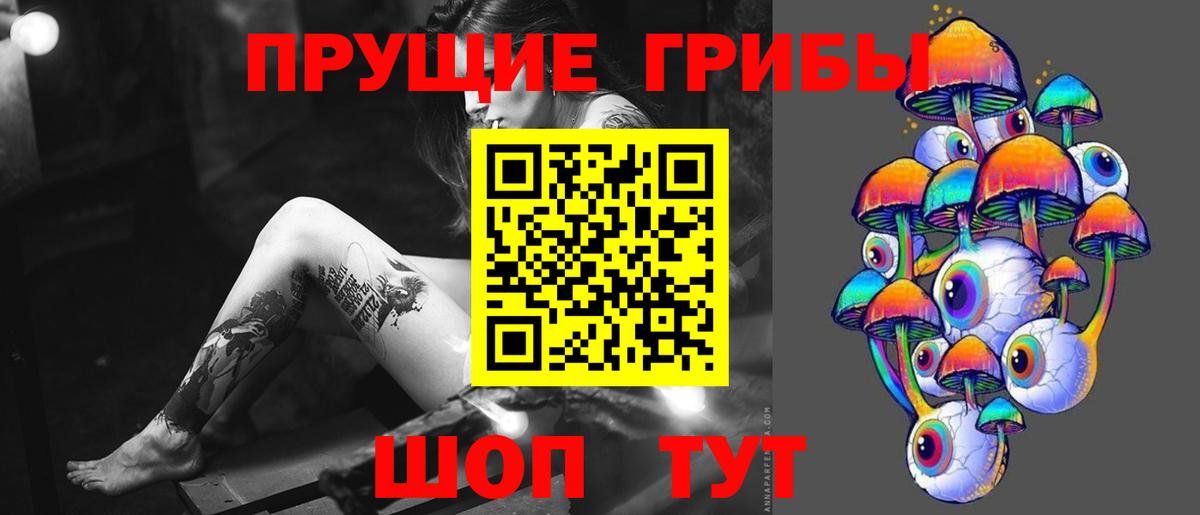 Псилоцибиновые грибы Cubensis Димитровград